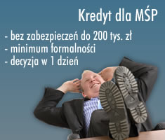 Kredyt Firmowy, kredyt inwestycyjny L